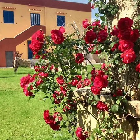 Bright In - 30 Sqm + Enclosed Garden شقة *